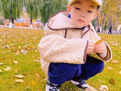 -哈尔滨文化公园