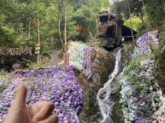 -山沟沟景区