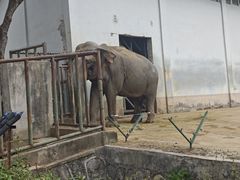 -合肥野生动物园