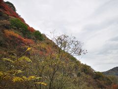 -抱龙峪