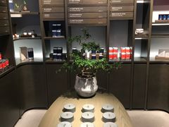 -王德传茶庄(上海新天地店)