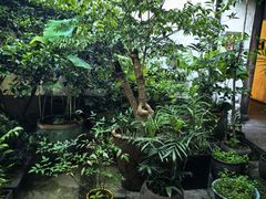 -院子餐厅·大锅菜·老杭帮(桥西直街店)