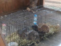 -HERRE·FARM 赫尔露营农场·团建聚会包场