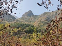 -云岫谷游猎自然风景区