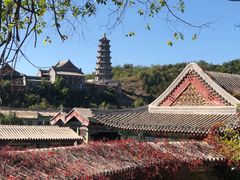 -古北烤梨
