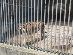 -祥源·阜阳生态乐园