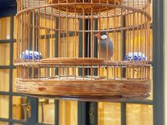 -31号公馆(黄兴广场白果园店)