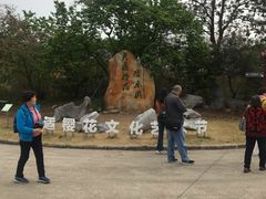 -天适樱花悠乐园