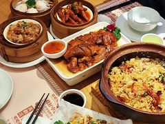 -顺风汤馆·广府粤菜(江宸天街店)