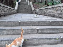 -四门塔风景区