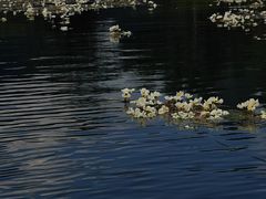 -四明山国家森林公园