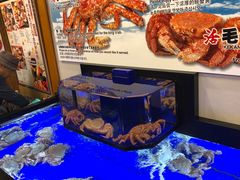 -蟹道乐(道顿堀本店)