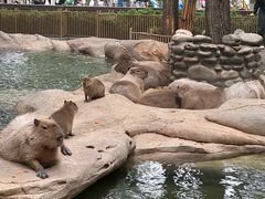 -北京野生动物园