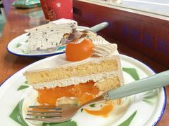 -聚福SHANGHAILANDER(乌鲁木齐南路店)