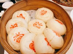 -四季春