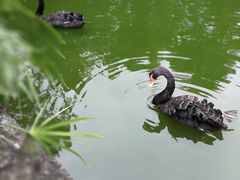 -昆明动物园