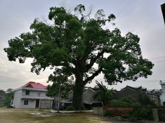 -苏宁易购(先锋路店)