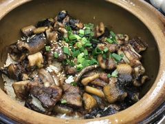 -红星光发煲仔饭(大石街店)