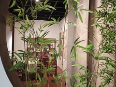 -广东中医药博物馆