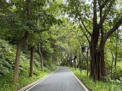 -广州雕塑公园