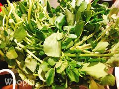 西洋菜-大良毋米粥(锦龙路总店)