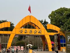 -金花茶公园