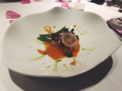 -蝶舍·MAISON PAPILLON