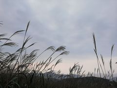 -东白山