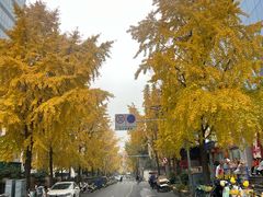 -白家肥肠粉(老东城根街店)