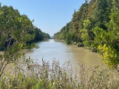 -上海海湾国家森林公园