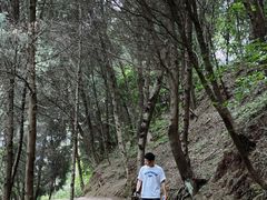 -金堂县云顶石城风景区