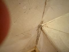 -天津君隆威斯汀酒店