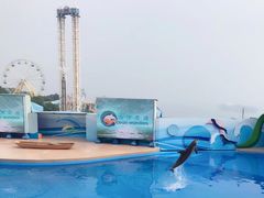 -香港海洋公园
