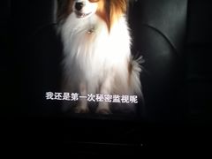 -博纳国际影城(铜锣湾激光巨幕杜比店)