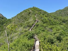 -大岭沟猕猴桃谷风景区