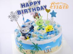 海底小分队-维尔纳斯·生日蛋糕·动物奶油冰淇淋蛋糕(六里桥店)