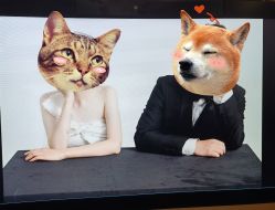 -CD视觉婚纱摄影