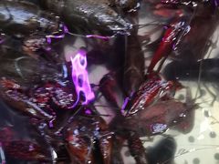 -老北京涮羊肉·龙虾.烧烤(江镇店)