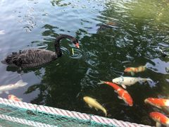 -湖鲜楼