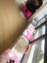 -E.L.K造型momopark店