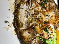 -小杨烤肉(朱雀店)