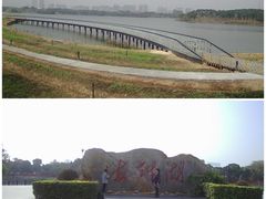 -海珠湖公园