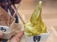 -野人先生现做冰淇淋(北京环宇荟店)