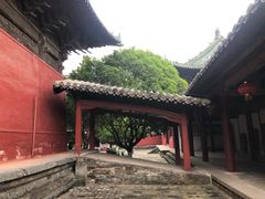 -报恩寺(平武县)