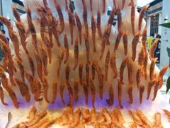 -川骄海鲜自助(河东店)