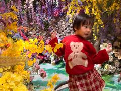 -正佳雨林生态植物园