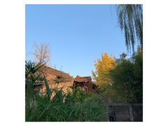 -香园茶社·金陵小灶(老门东店)