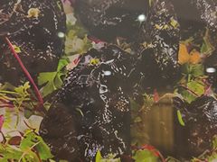 -东港喜来登酒店·天香阁中餐厅