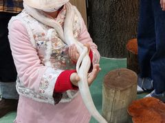 -藦茜花园宠物主题亲子互动体验馆(国顺东路店)