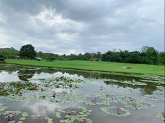 -中国科学院西双版纳热带植物园